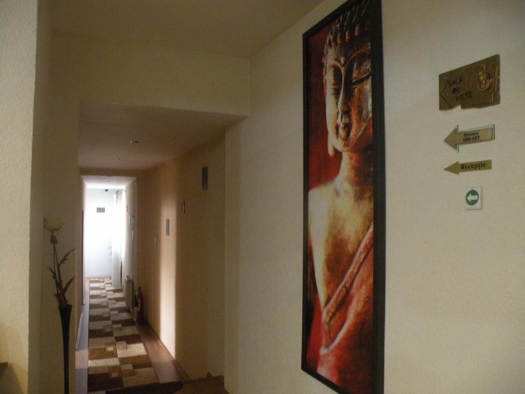 Pension Cleopatra Târgu-Mureş Extérieur photo