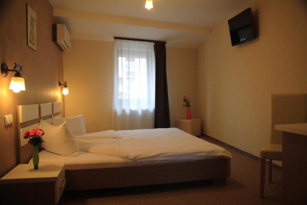 Pension Cleopatra Târgu-Mureş Extérieur photo